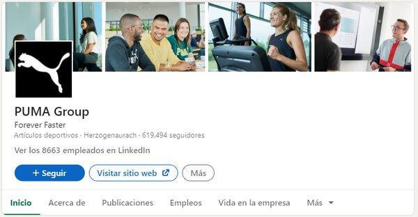 Puma-Cover-Photo-Linkedin