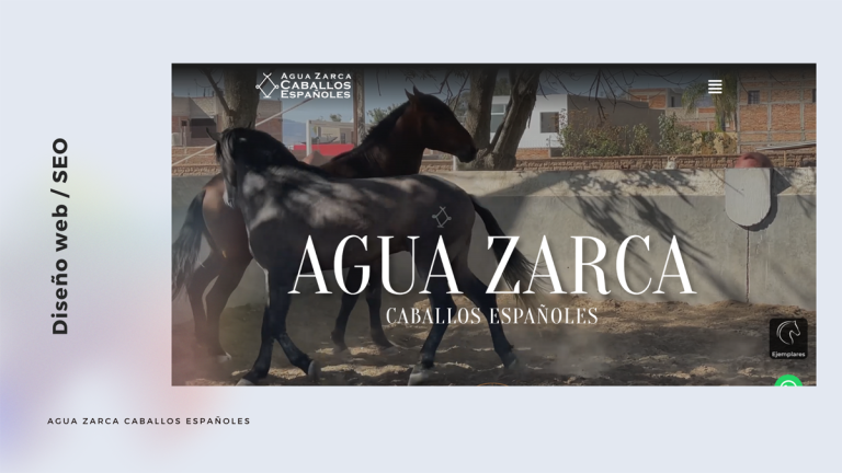 agua zarca caballos